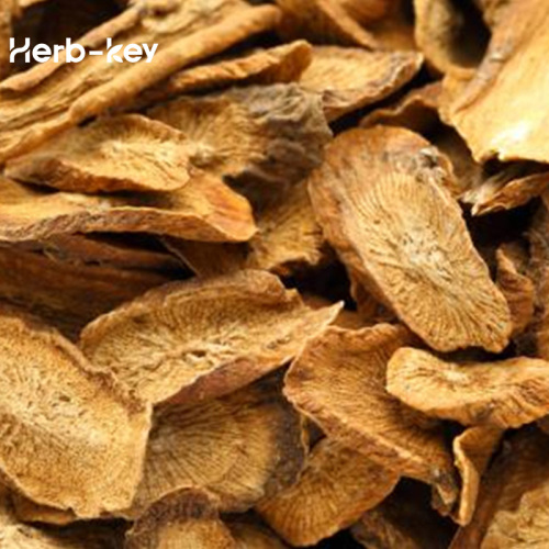 The new choice of medicinal food and functional drinks - burdock extract