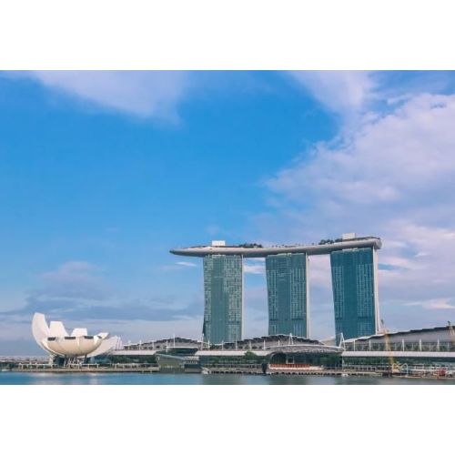 Singapore's Marine Conservation Action