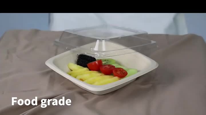 EG Bowl Bagasse Container