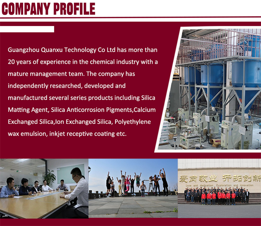 Company Profile