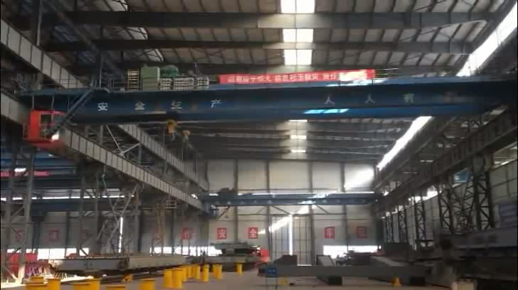 Double Girder Overhead Crane