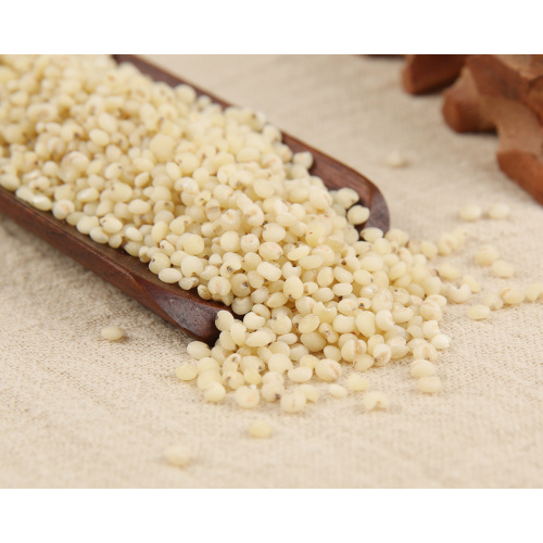 Rice sorghum best dressing period