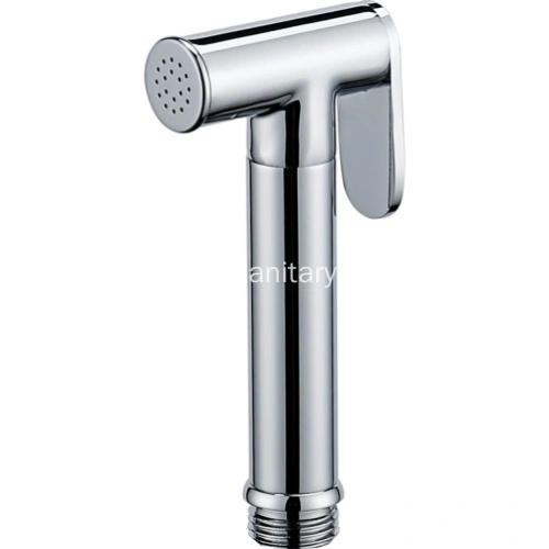 Elevated Hygiene Solutions: Handheld Bidet Sprayers, Holders, and Glass Shelves in Bathroom Design