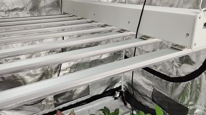 800w grow light