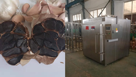  Black Garlic Machine To Canada