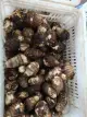 ΕΠΙΛΕΓΜΕΝΗ Υ HIGHΗΛΗΣ ΠΟΙΟΤΗΤΑΣ FRESH TARO SUPREME GRADE