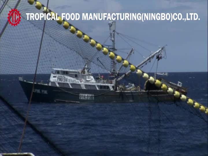 Tropical Food Ningbo Factory Canned Tuna Processing.mp4