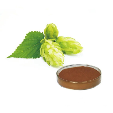 Invigorate The Stomach And Digestion, Diuresis And Calm The Mind ----- Hops Flower Extract