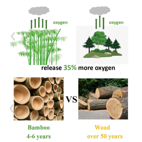 Bamboo -- shaping a circular industry ecosystem