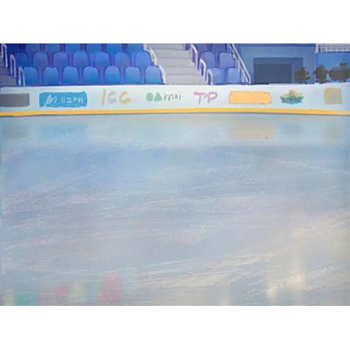 L'industrie mondiale des patinoires se développe de manière dynamique, portée par la popularité des sports d'hiver, l'innovation technologique et la diversification commerciale