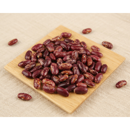 What is kidney bean