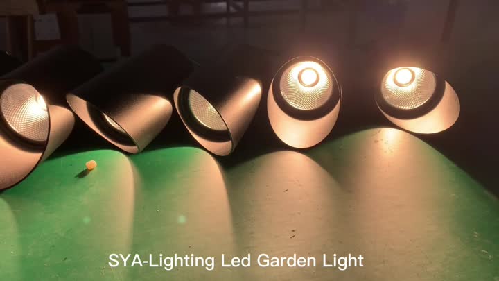 Lumière du jardin LED