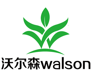 walson groupe