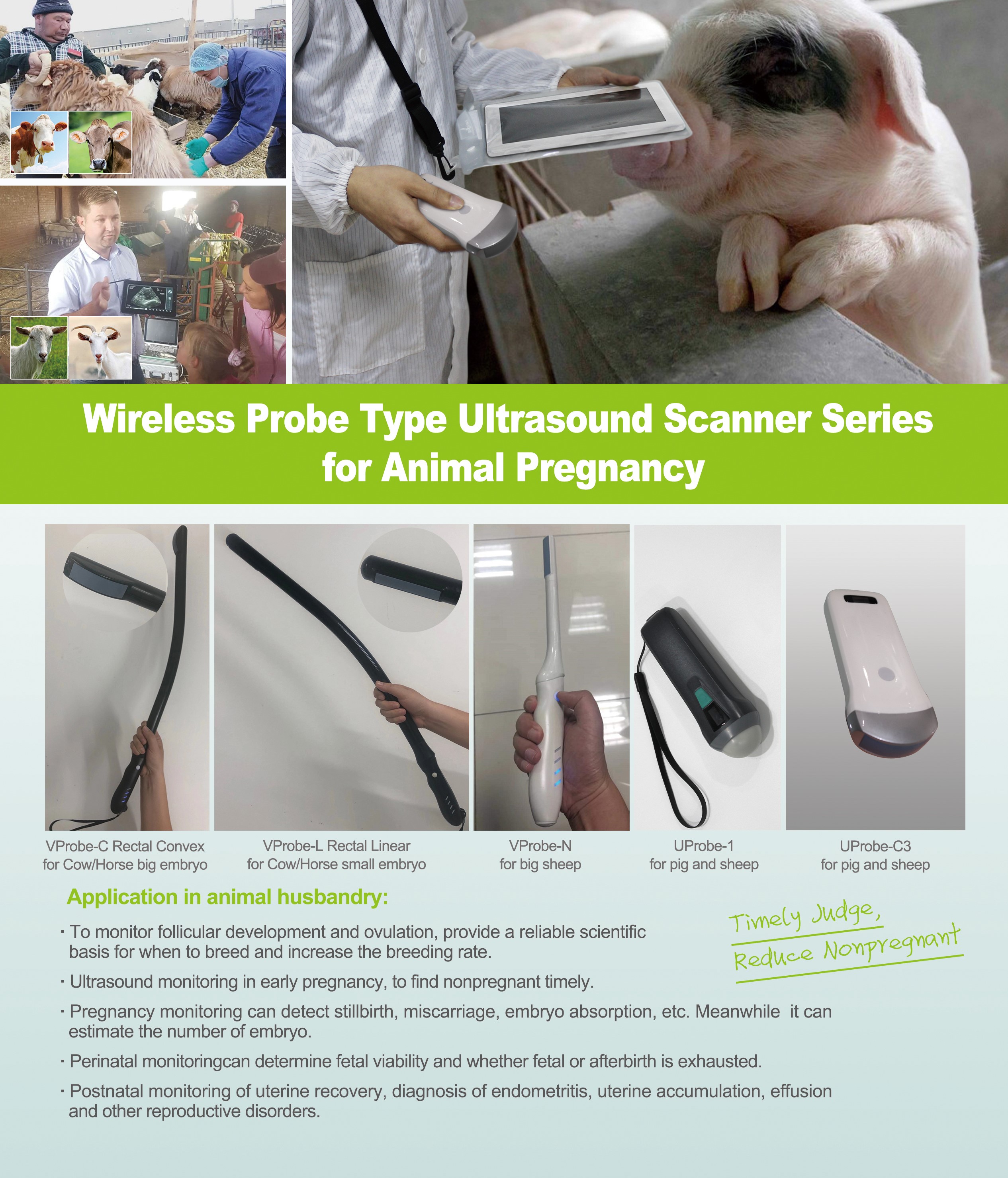 Wireless Veterinary Ultrasound 