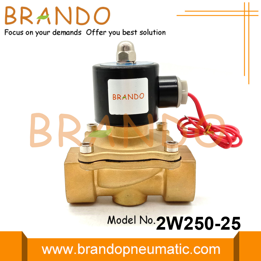 2W250-25 1 &#39;&#39; pirinç solenoid valf