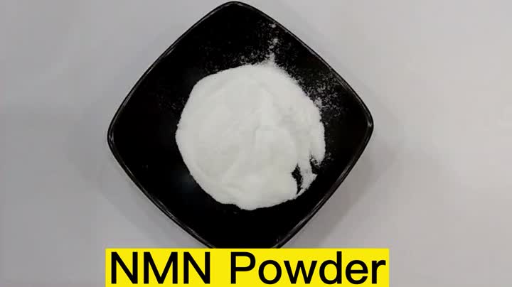 NMN -Nikotinamid -Mononukleotidpulver
