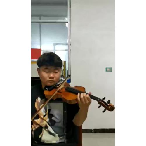 A level violin