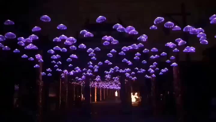 illuminazione di meduse.mp4