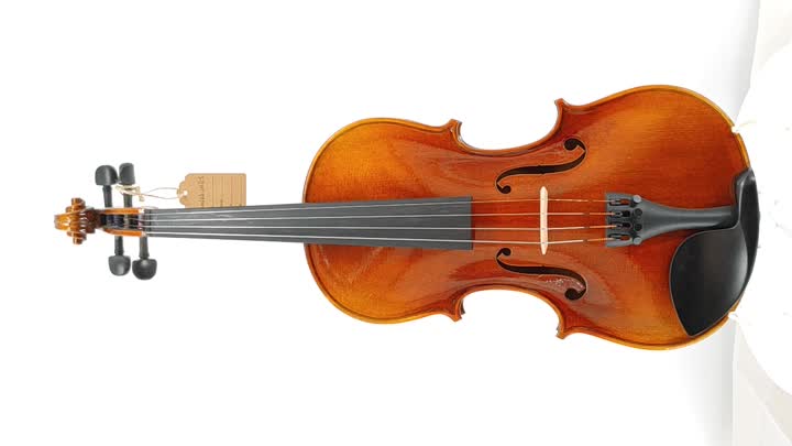 violin-JMD-5