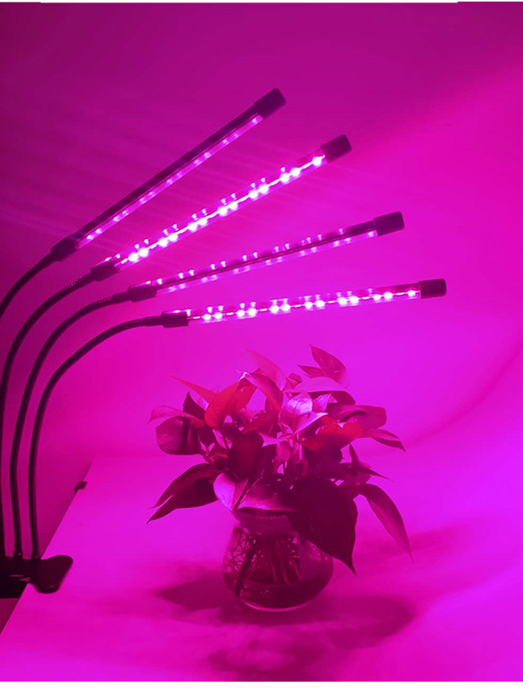 grow light mars hydro