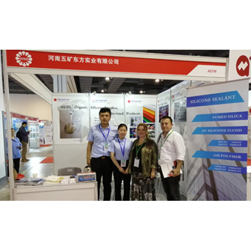 2019 Shanghai Silicone Exhibition