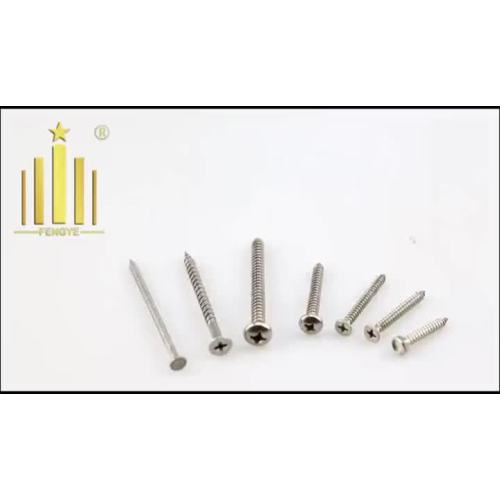 Stainless Steel Screw