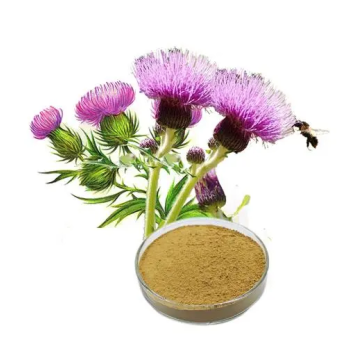 Liver Protecting and Liver Protecting Hot Selling Products------Milk thistle extract