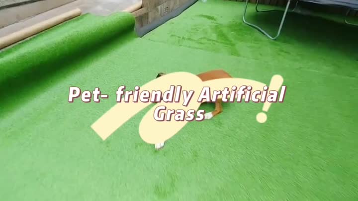 Pet-friendly artificial grass