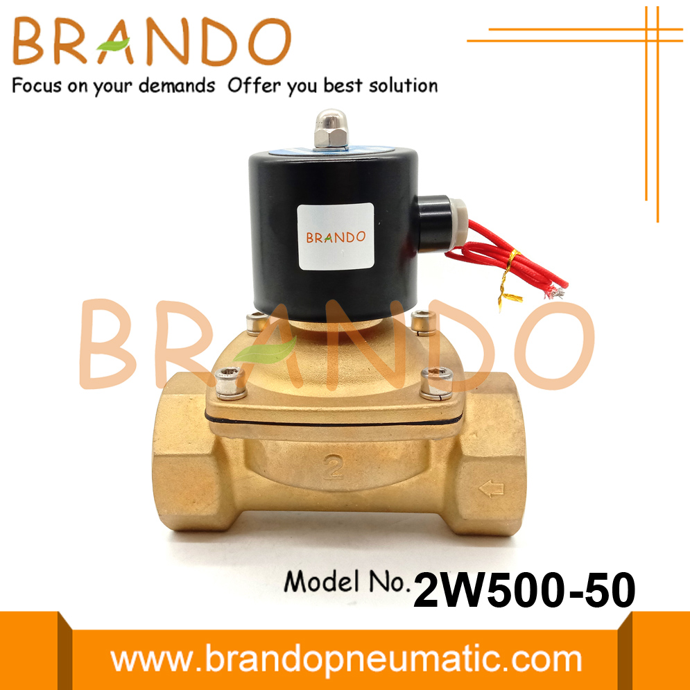 2W500-50 2 &#39;&#39; Pirinç solenoid valf