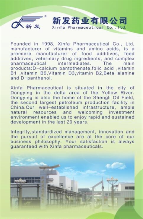 xinfa factory (5)