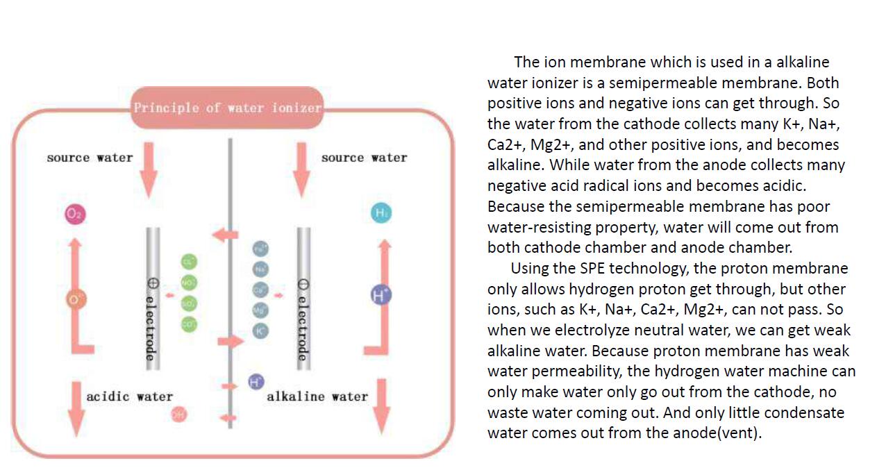 Kangen Water Maszyna alkaliczna jonizator wody oczyszczacza jonizatora Japonia Japonia