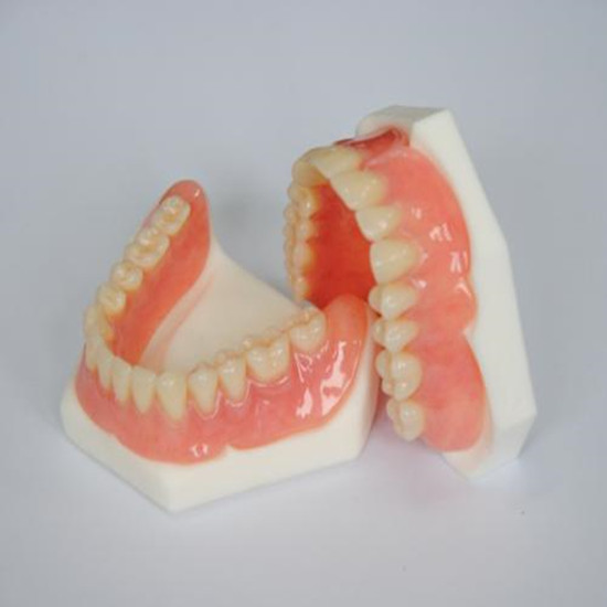 Impressão modelo 3D, dentes retos claros