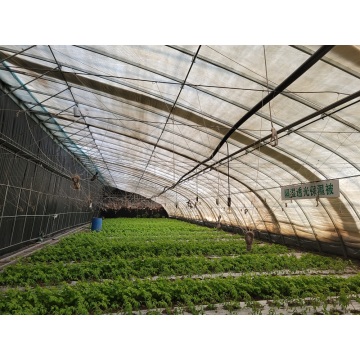 What kinds of films are suitable for use in solar greenhouses and what are their characteristics?