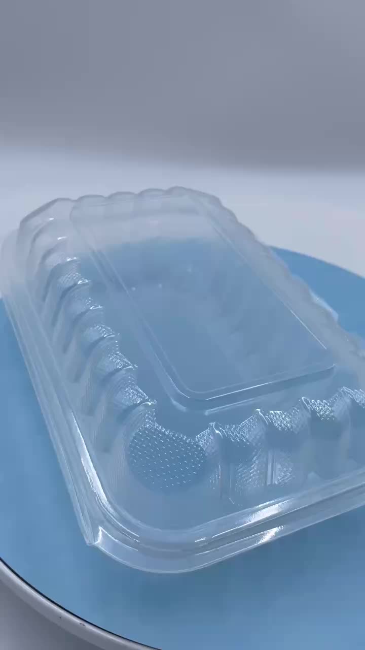 plastic lunch box 1