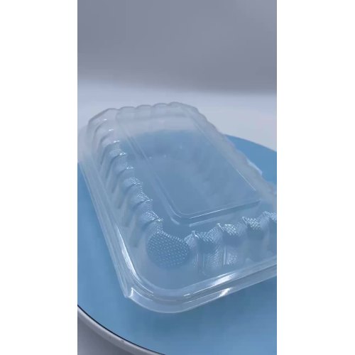 plastic lunch box 1