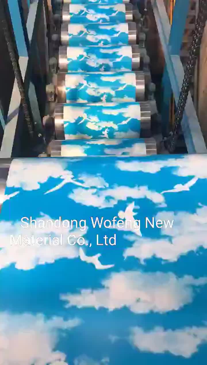 blue sky roofing steel coil