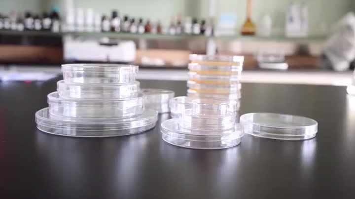 VIDEM PETRI DISH DISH SISES