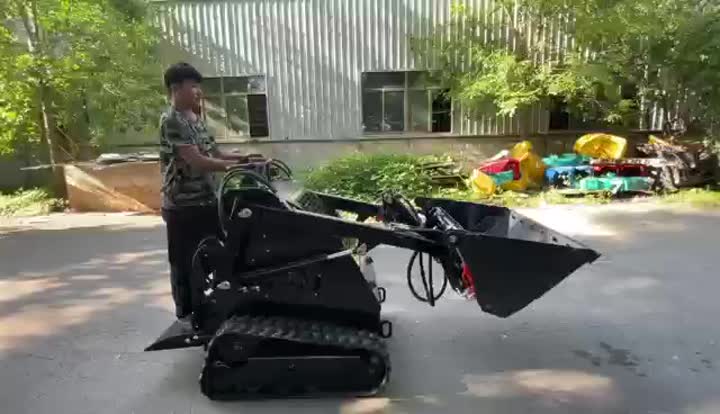 Track track skid steer loader