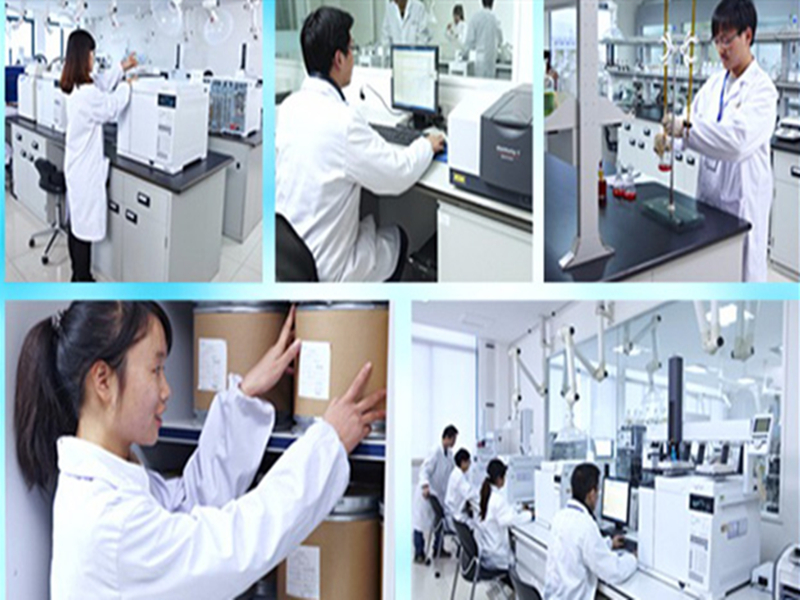 Shijiazhuang Dingmin pharmaceutical Sciences Co.,Ltd 