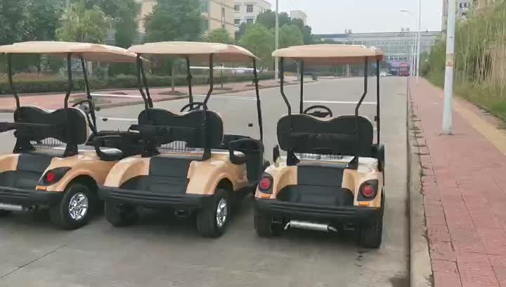 Golf cart a 2 posti con alimentazione a gas o elettrica