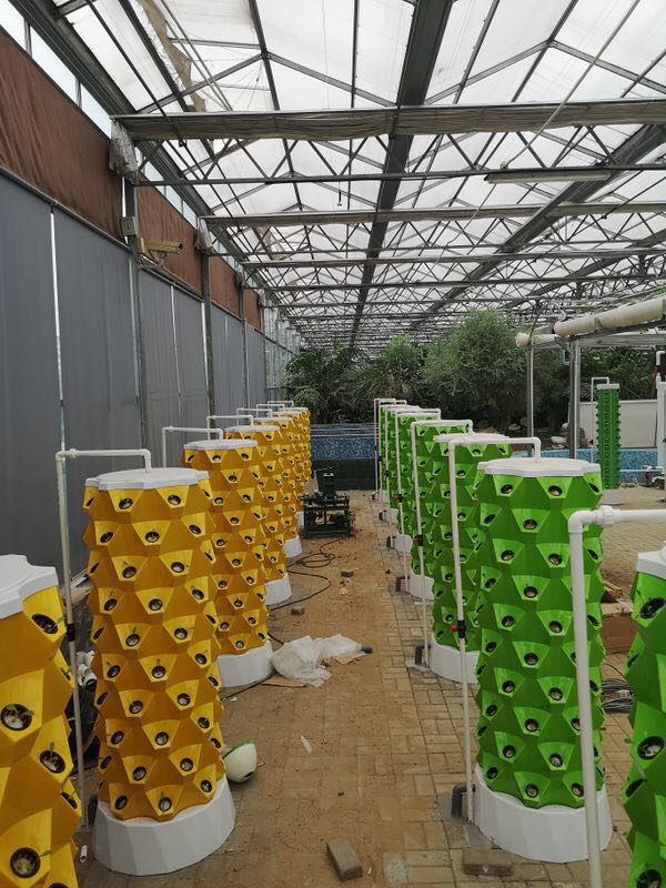Hydroponic System 15 Hydroponic System 15
