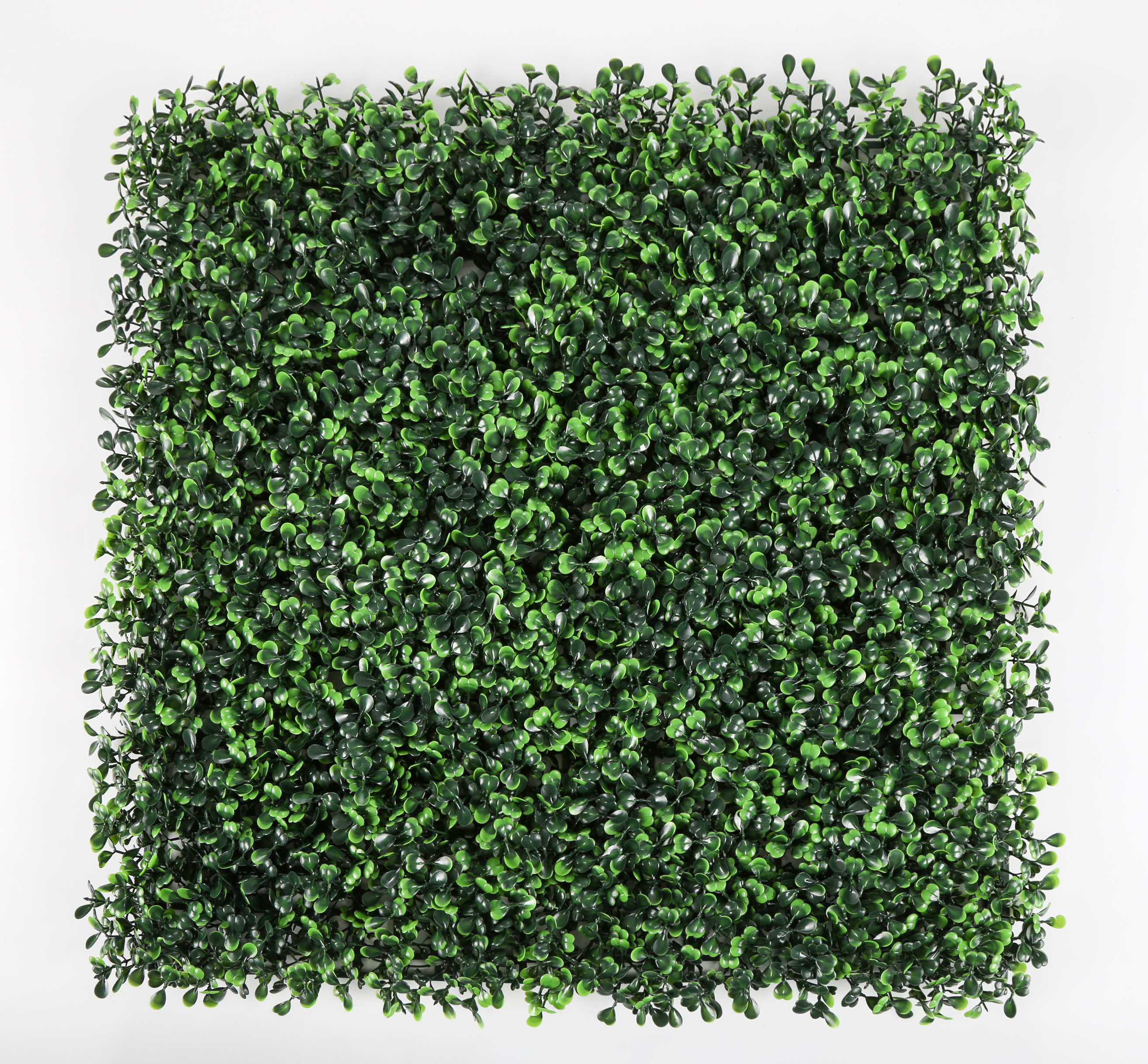 boxwood artificial hedge mat GB