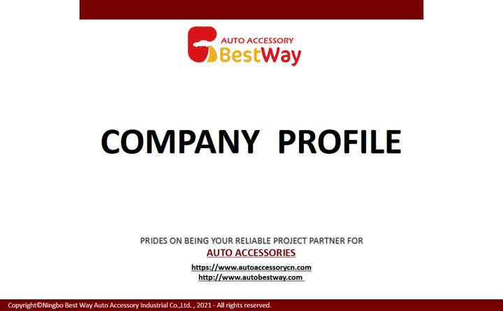 Introducción a la empresa Bestway