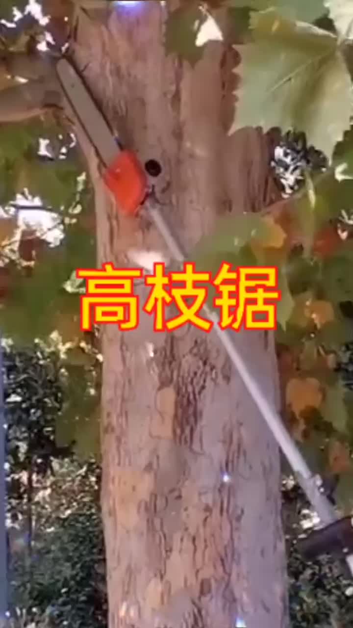 高枝锯 .mp4