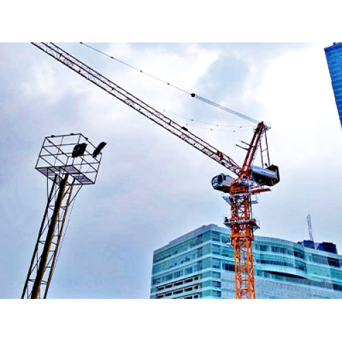 The BQ Tower Crane GHD5527-14 الجديد على موقع البناء في إندونيسيا