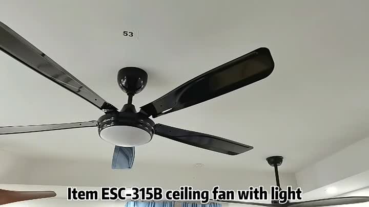 Ceiling light with fan and remote