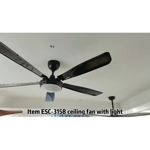 Ceiling light with fan and remote