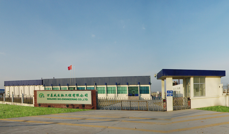 Shandong Fortune Spring International Trade Co., Ltd