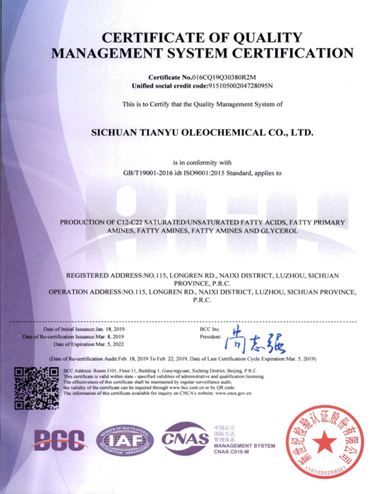 ISO9001