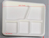 Bagasse Tableware Square Tray with 5-Compartment